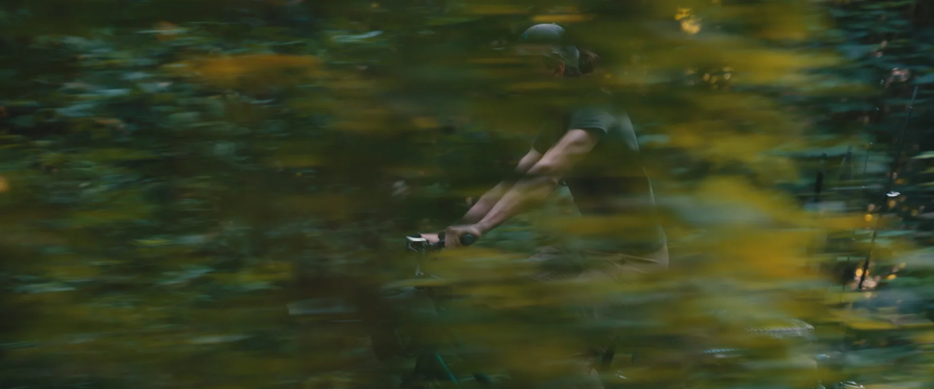 Revoluciona tu viaje con Fiido